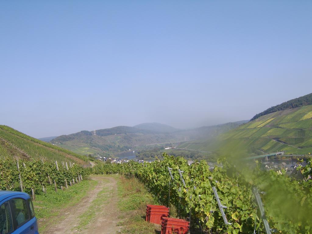 Weingut Matthias Dauns Διαμέρισμα Reil Εξωτερικό φωτογραφία