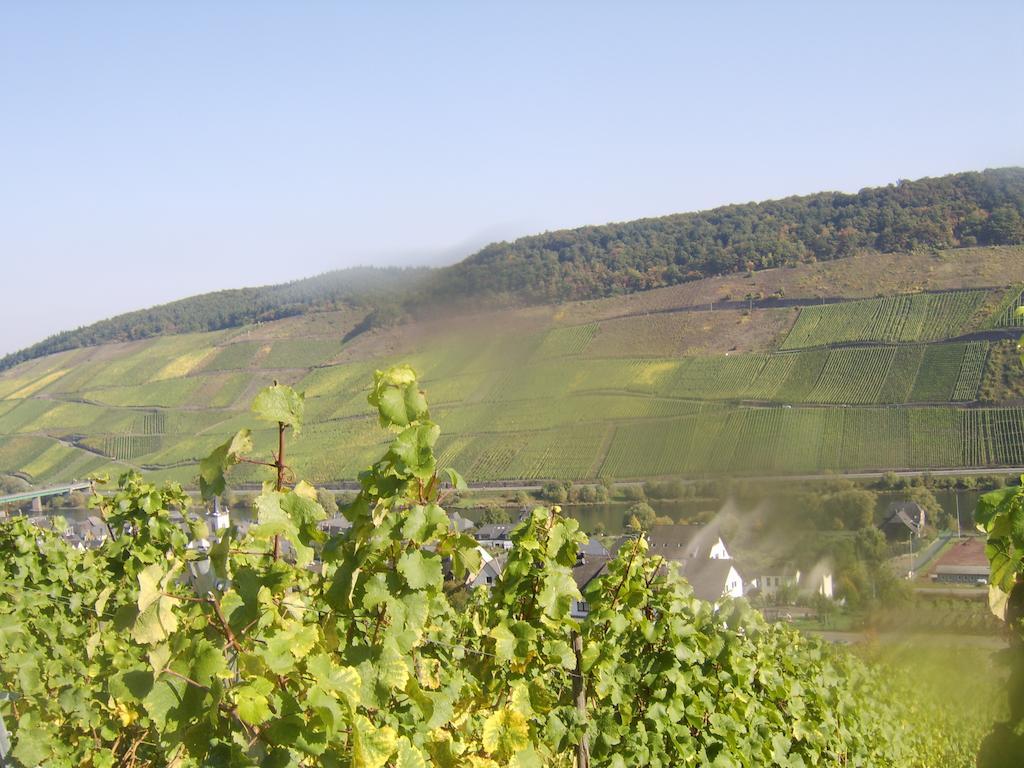 Weingut Matthias Dauns Διαμέρισμα Reil Εξωτερικό φωτογραφία