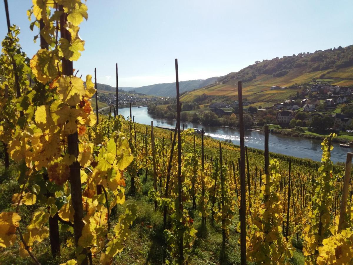 Weingut Matthias Dauns Διαμέρισμα Reil Εξωτερικό φωτογραφία